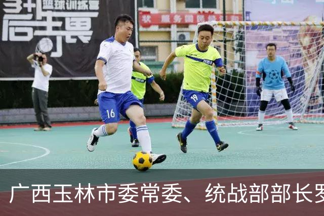 广西玉林市委常委、统战部部长罗莉简历
